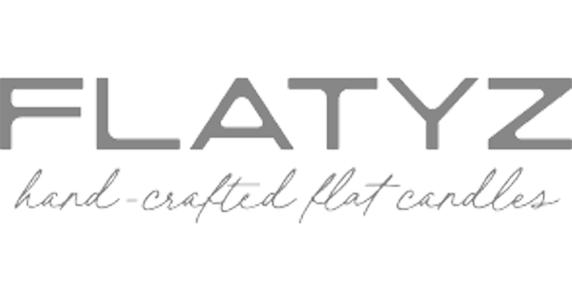 flatyz logo 5